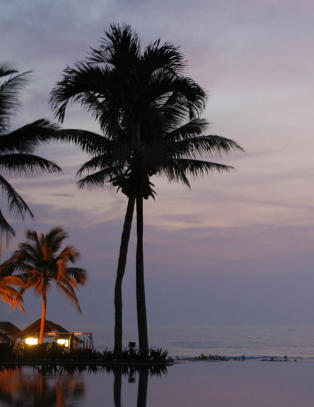 Du f�ler deg rik n�r minibanken sp�r om du vil ta ut �n, to eller tre millioner