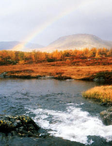 Har du enn� ikke bestemt deg for hva du skal i h�stferien?