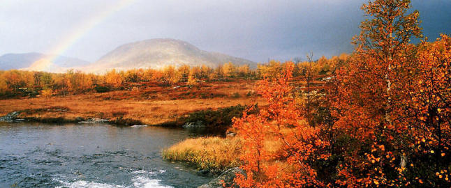 Har du enn� ikke bestemt deg for hva du skal i h�stferien?