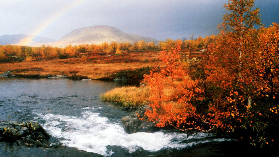 H�STFJELL: H�sten er kanskje den fineste tiden i fjellet. Her fra fjellet mellom �l og Hemsedal. Foto: ODDMUND LUNDE