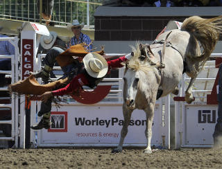 CALGARY STAMPEDE: Her blir Steven Dent fra Mullen i Nebraska kasta av hesten Moulin Rouge under rodeofinalen i Calgary forrige sommer. Foto: TODD KOROL/REUTERS/SCANPIX
