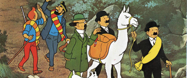 - Tintin er afrofobisk