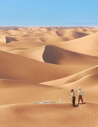 - Tintin er afrofobisk