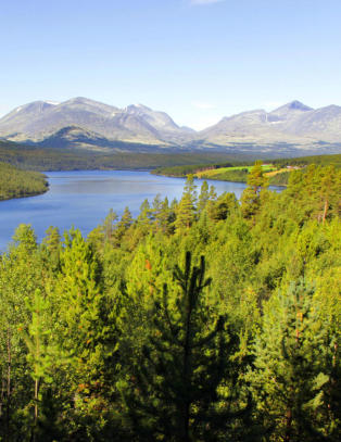 Ble inspirert til � male av det han fikk se da han sto akkurat her