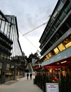 Vil at du skal spise kaniner, insekter og eksperimentell gr�t