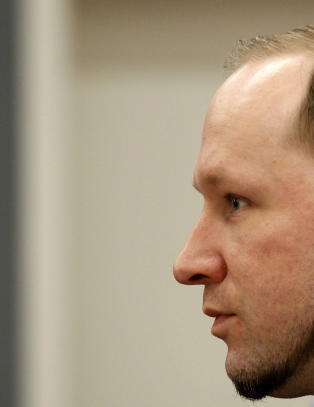 Ny Breivik-bok med kraftig skyts mot moren