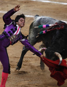 N� er det ikke bare oksene som kjemper for livet