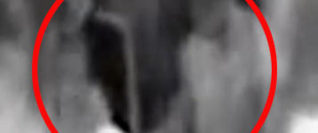 Her blir Eli (23) fors�kt p�tent p� et utested