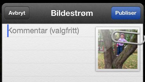 DELT BILDESTRØM: Foto: Hallvard Lunde DELT BILDESTRØM: Foto: Hallvard Lunde