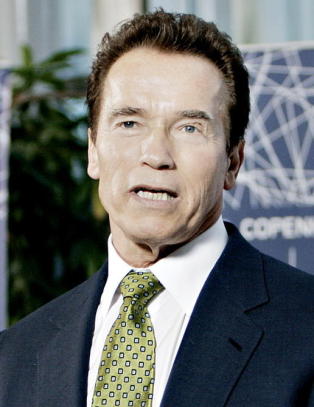 - Det er det dummeste jeg har gjort