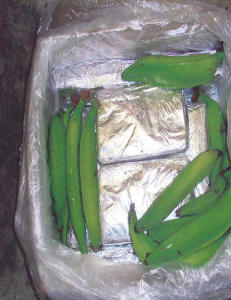 Belgisk politi gjorde rekordbeslag av kokain