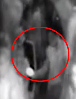 Politiet sjekker navngitte personer etter at Eli (23) ble fors�kt p�tent