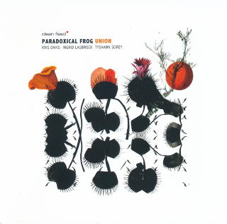 PARADOXICAL FROG: Subtilt fra den progressive New York-scenen.
