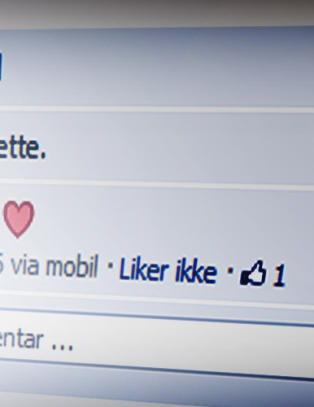 Dette skjer med deg p� internett n�r du d�r