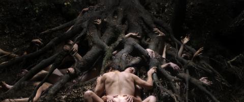 Ane Dahl Torp i Lars Von Triers �Antichrist�
