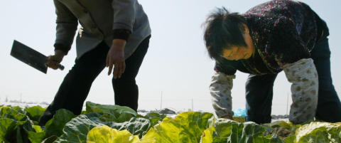 Kina gir opp ett-barnspolitikken