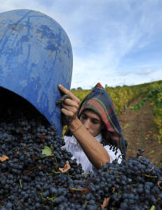 Sju seksere og seks femmere i ukas vintest
