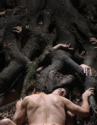 Dette gruer Ane Dahl Torp seg til