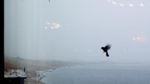 VARMT INNE, KALDT UTE: Ingenting � si p� utsikten fra badstua. Foto: ELISABETH SPERRE ALNES