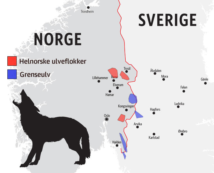 fakta om hedmark norsk telefon sex fakta om hedmark norsk telefon sex