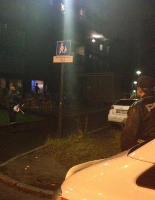 - Jeg h�rte et skudd, en del hyl, og et skudd til