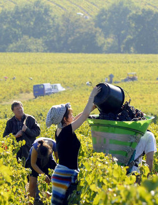 Her lager de viner som resten av verden pr�ver � etterlikne