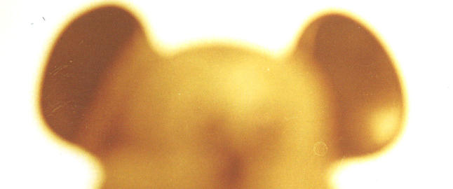 Blir du varm i hjertet n�r du ser dette kornete vesenet?