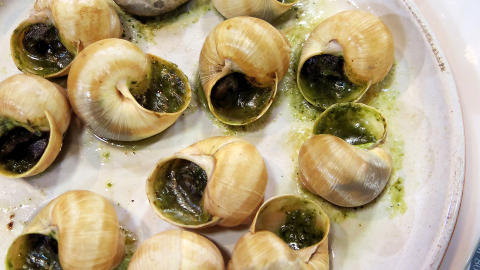 Snegler med hvitl�kssm�r.