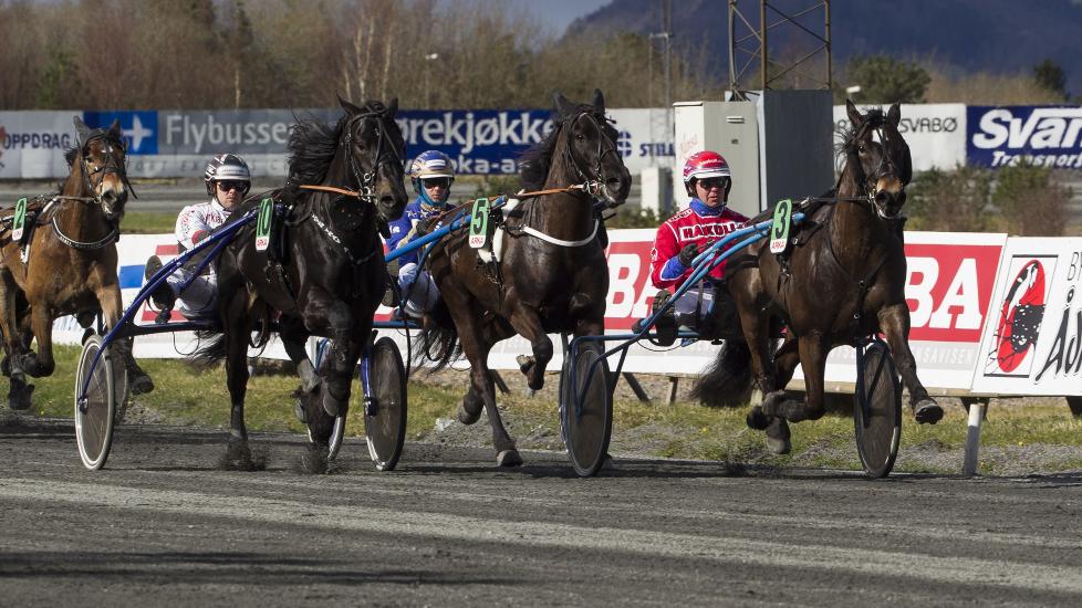 BESTEMT. Torpa J. har vunnet de fire siste l�pene fra tetposisjonen. Vallaken er klar for � bestemme alt p� l�rdag ogs�. Foto: HESTEGUIDEN.COM.