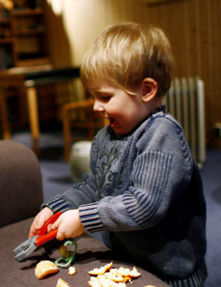 - Barnefordelingen er et minefelt