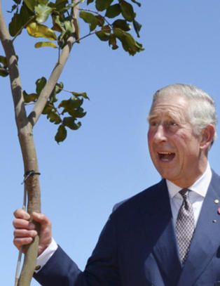 - Menneskeheten beg�r selvmord