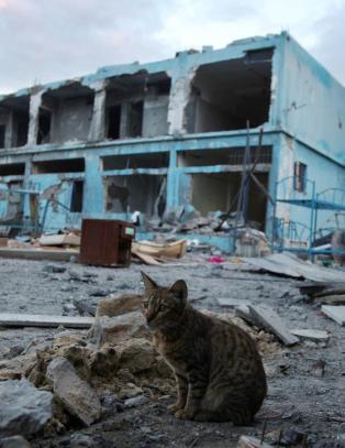 Norge sier ja til Palestina i FN