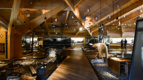 NATUR OG HISTORIE: P� Svalbard museum i Longyearbyen kan du vandre gjennom de siste 400 �rene med kultur og historie p� �ygruppa, helt fra da nederlenderen Willem Barentsz oppdaget Svalbard i 1596. Foto: ROGER BRENDHAGEN