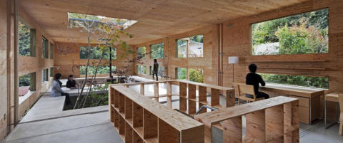 Plantet et tre midt i huset