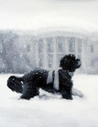 - Helt surrealistisk!