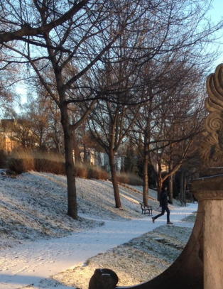 Pulsen senker seg til is