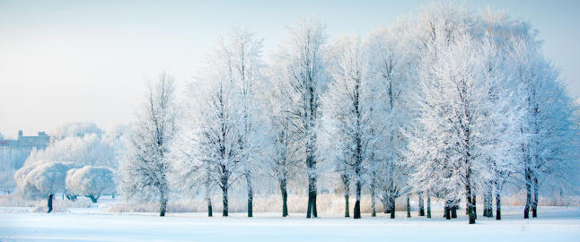 Pulsen senker seg til is