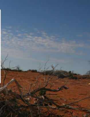 Livsfarlig kartfeil fra Apple