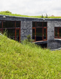 Takplenen beskytter mot gatest�y, hete og forurensning