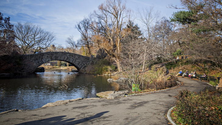THE POND: Brua ved The Pond, hvor Kevin m�tte fugledama i Central Park. Foto: JOHANNES WORS�E BERG