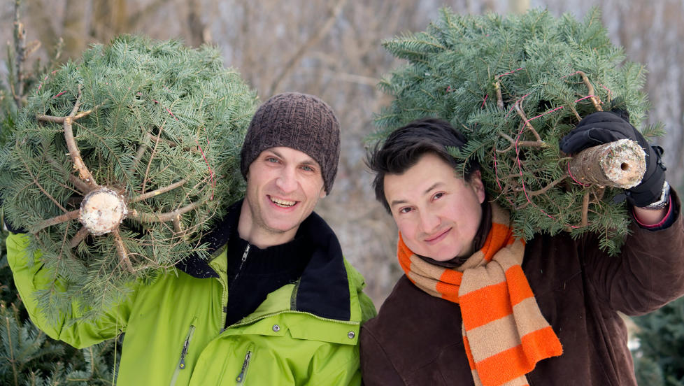 GJ�R DET SELV: Det aller beste er � hogge juletreet selv. Illustrasjonsfoto: thinkstockphotos