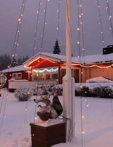 Istid-Scrat passer n�tt i julehage