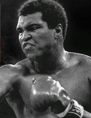 Zlatan mener han og Northug er som Muhammed Ali