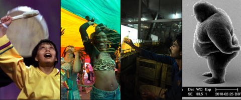 Historiene du ikke fikk med deg i 2012