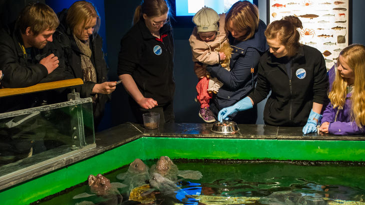 FISKEMATING: Nina Finnesand med datteren Hedda Segrov p� armen, f�lger spent med p� n�r akvariets Solveig Enoksen (til venstre) og Stine Fiskaa (til h�yre) mater steinbitene. Foto: ROGER BRENDHAGEN