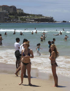Haialarm skremte strandløver i Australia