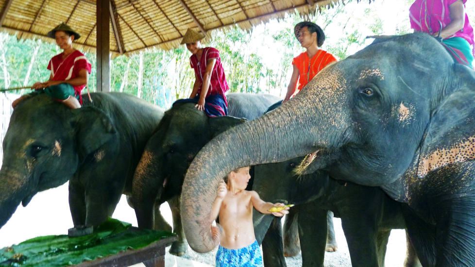 I VINDEN: Her nyser den store elefanten akkurat mens Mattis holder p� med matingen. Pjokken f�r hele klysa rett i ansiktet, men tok det hele med fatning. Foto: EIVIND PEDERSEN