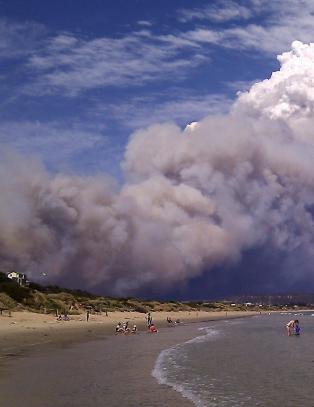 Skogbranner har hittil slukt 65 hus i Tasmania