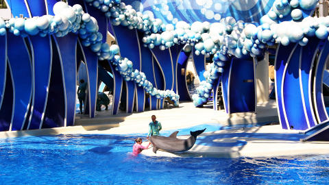 SEAWORLD: Det er verdt � f� med seg et delfinshow i Seaworld. Foto: KIRSTEN MARGRETHE BUZZI
