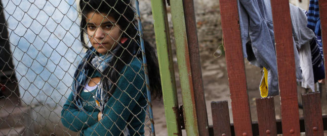 - Disse dyra burde ikke f� lov til � eksistere